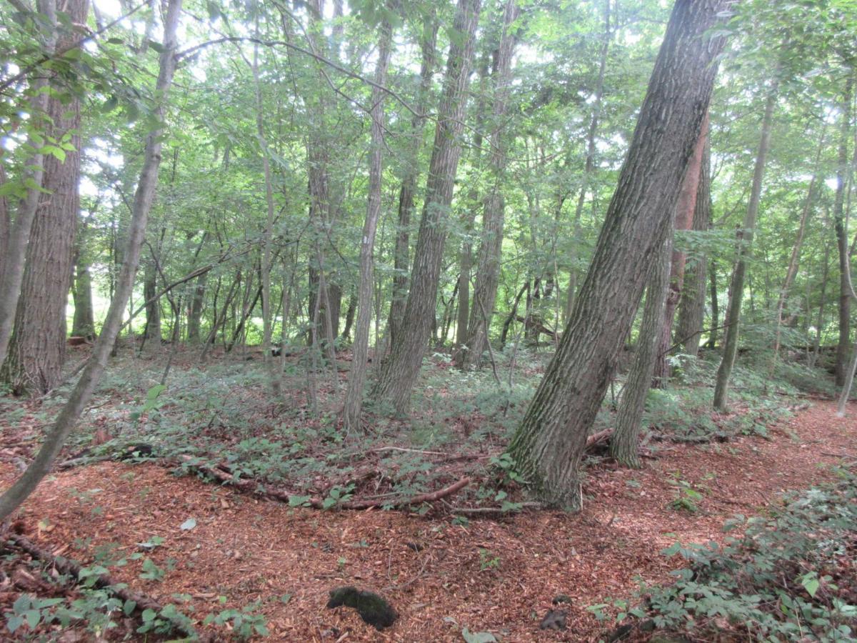Dogruncafe & Resorts Jennie West-Karuizawa Miyota Dış mekan fotoğraf
